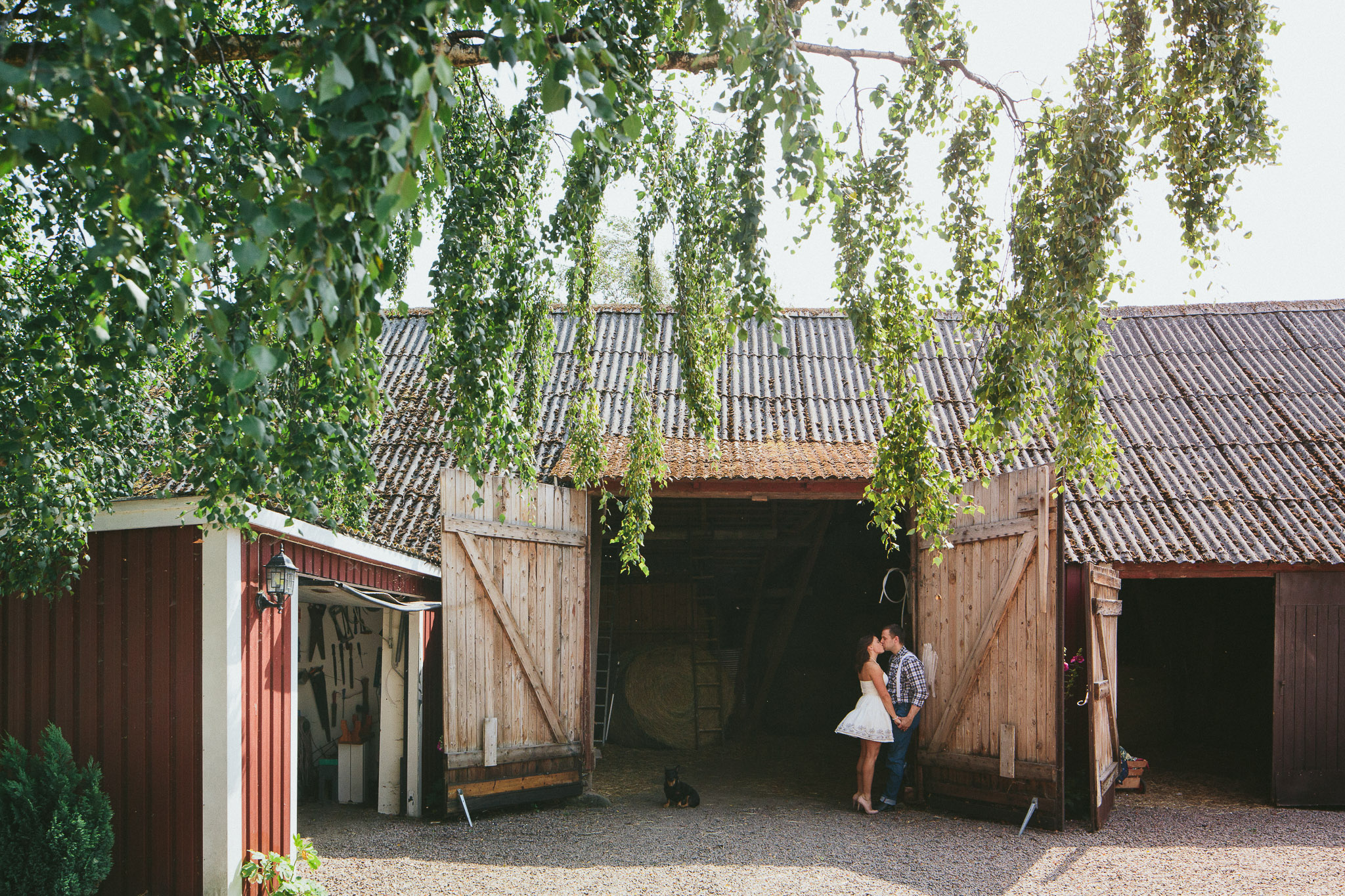 kiss barn Swedish couple farm in Sweden