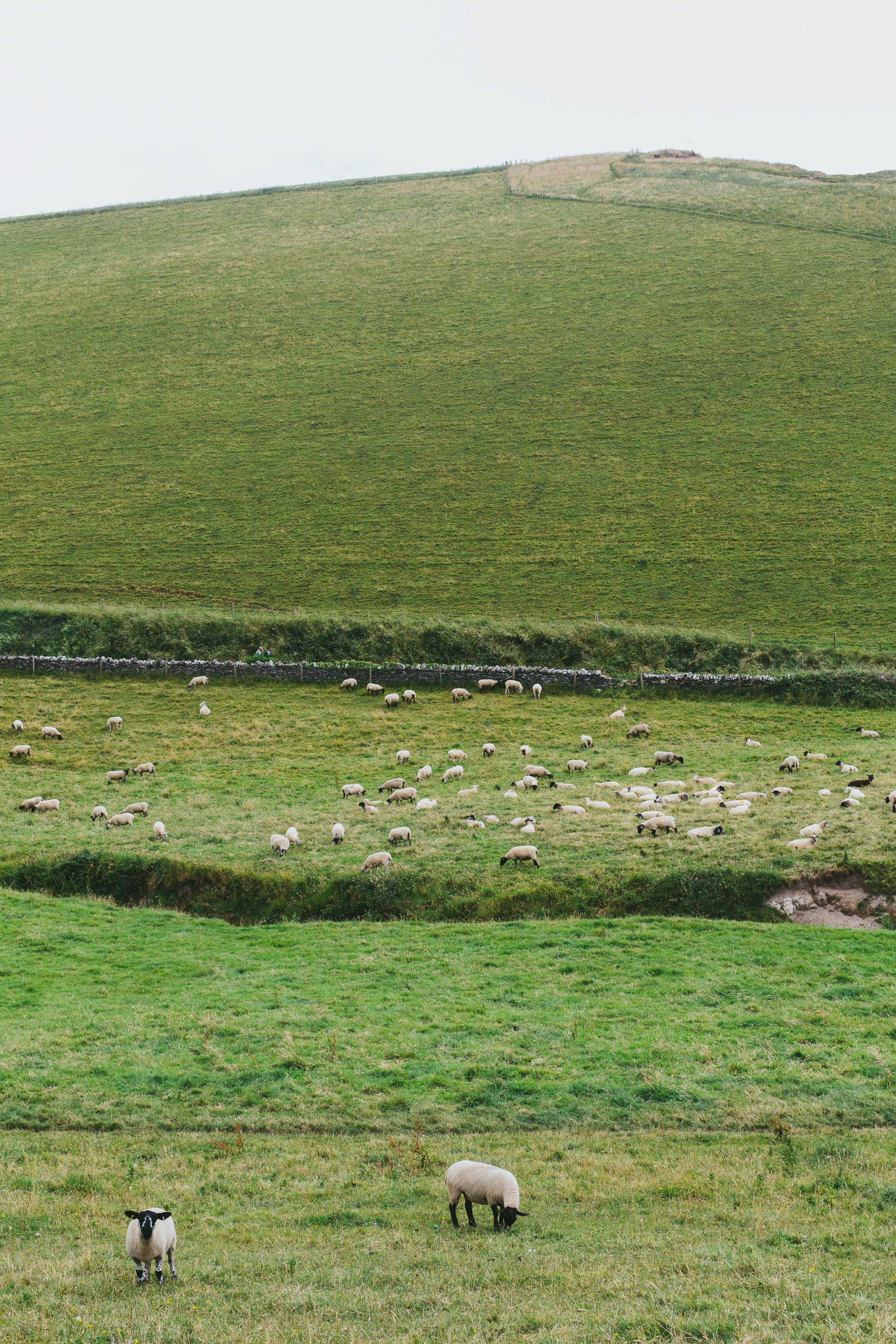 landscape south devon england