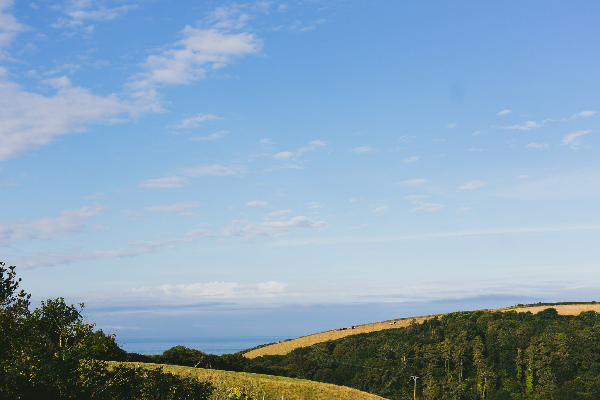 South Devon landscape