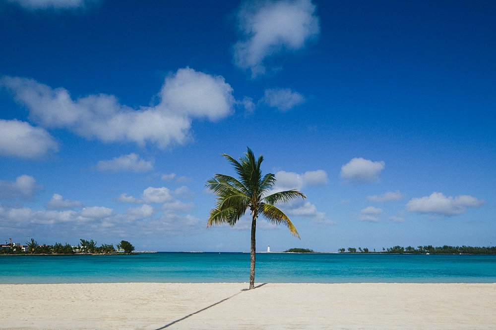 Bahamas Palm-tree and white sandy beach landscape photo