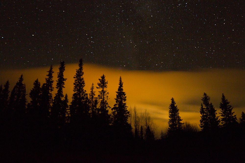 Pins and stars at night lapland Sweden landscape photo