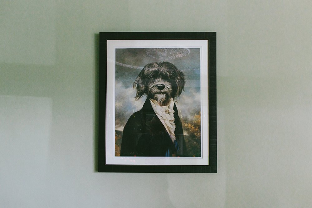 2015 summary of a destination wedding photographer Dog