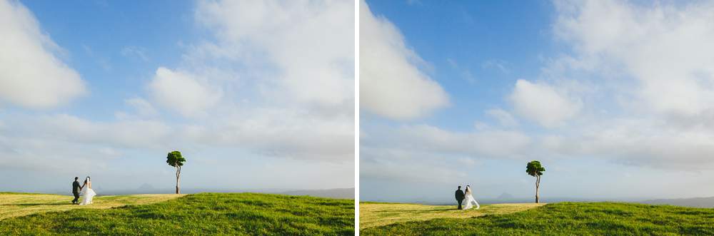 2015 summary of a destination wedding photographer One tree hill Sunshine Coast