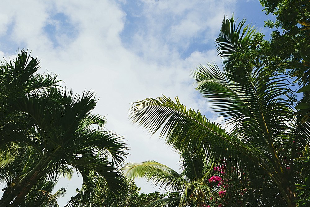 Bahamian wedding palm trees