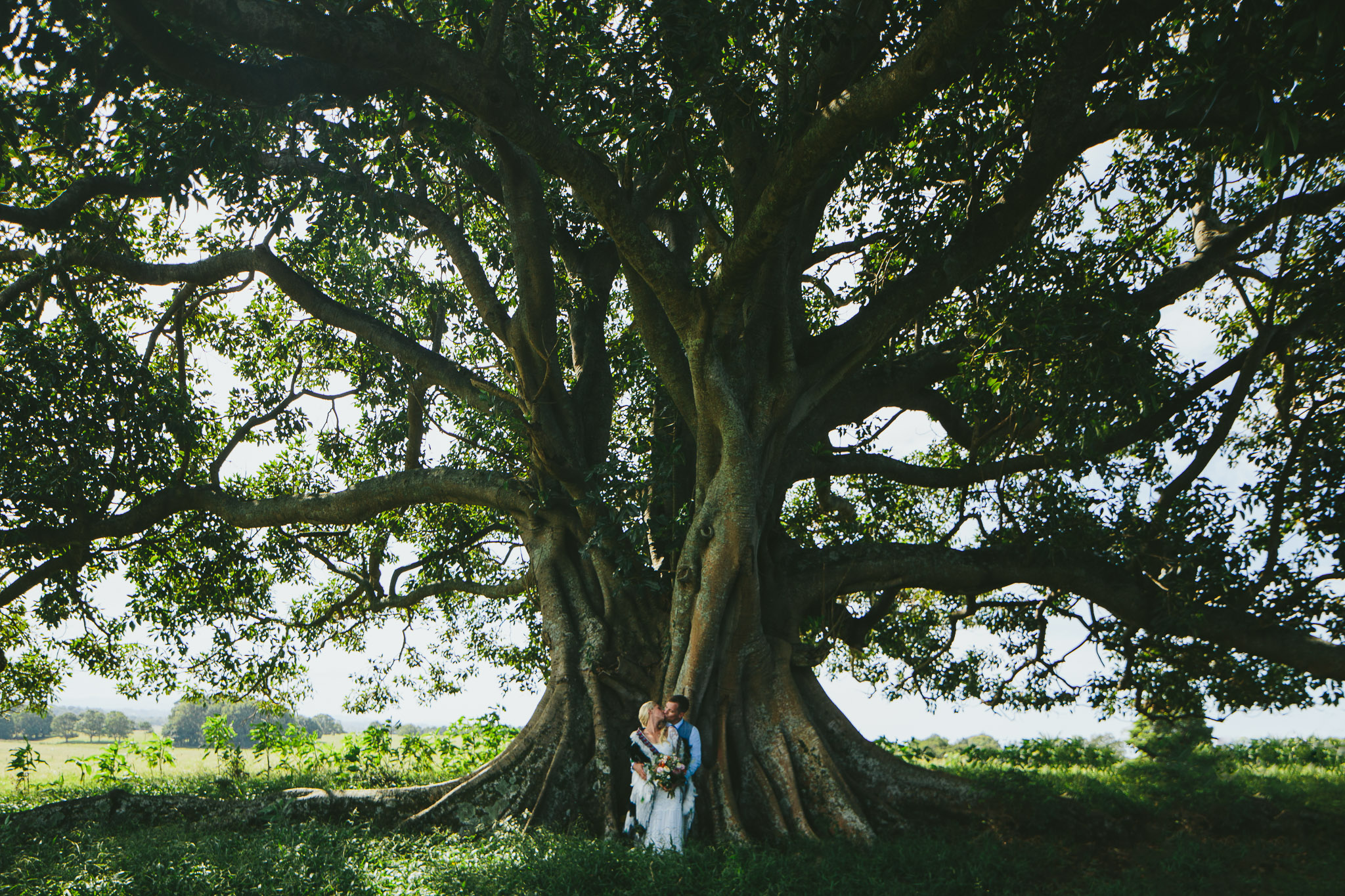 Byron Bay weddings newly weds fig tree photo session