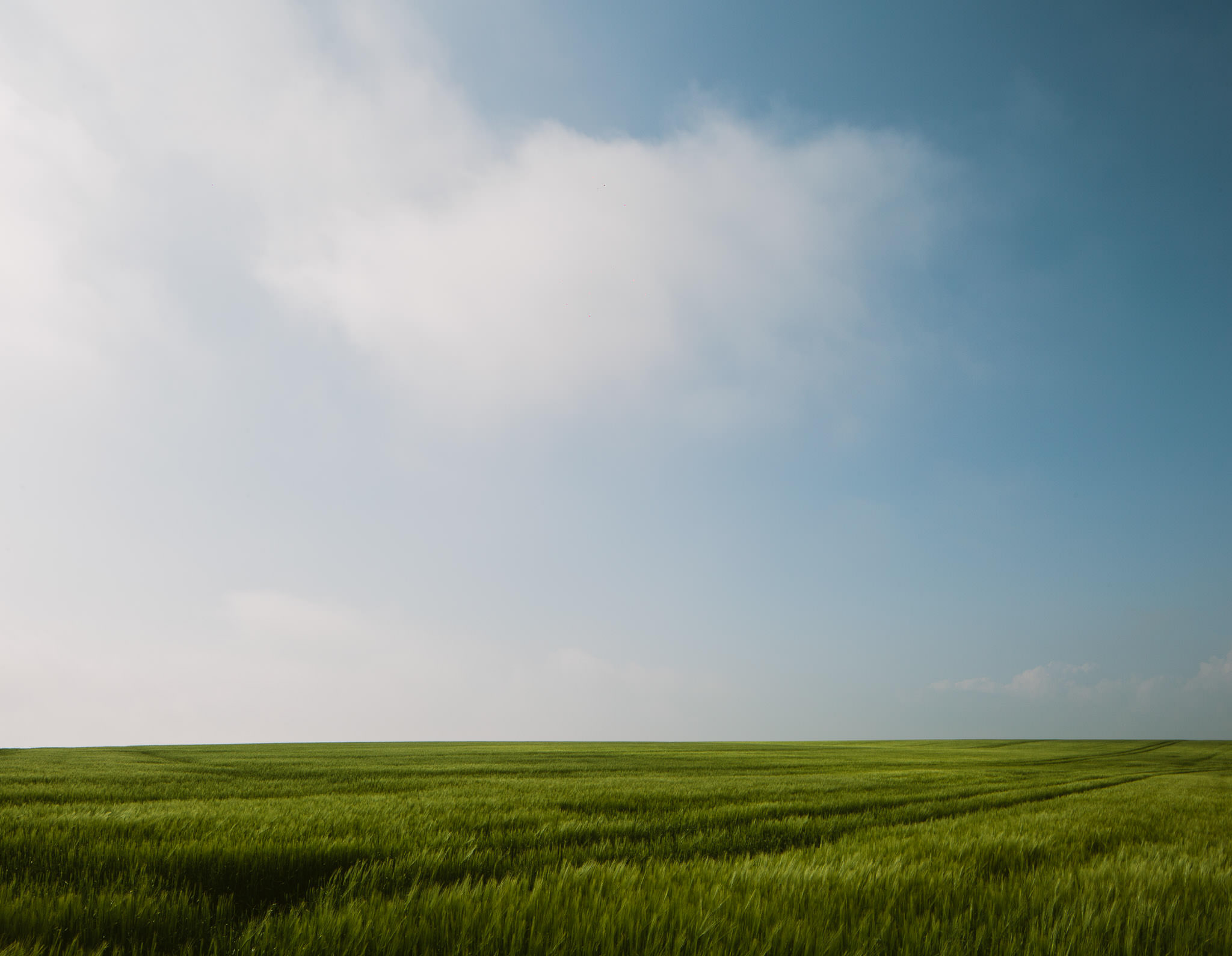 wedding photographer worldwide South Devon Landscape