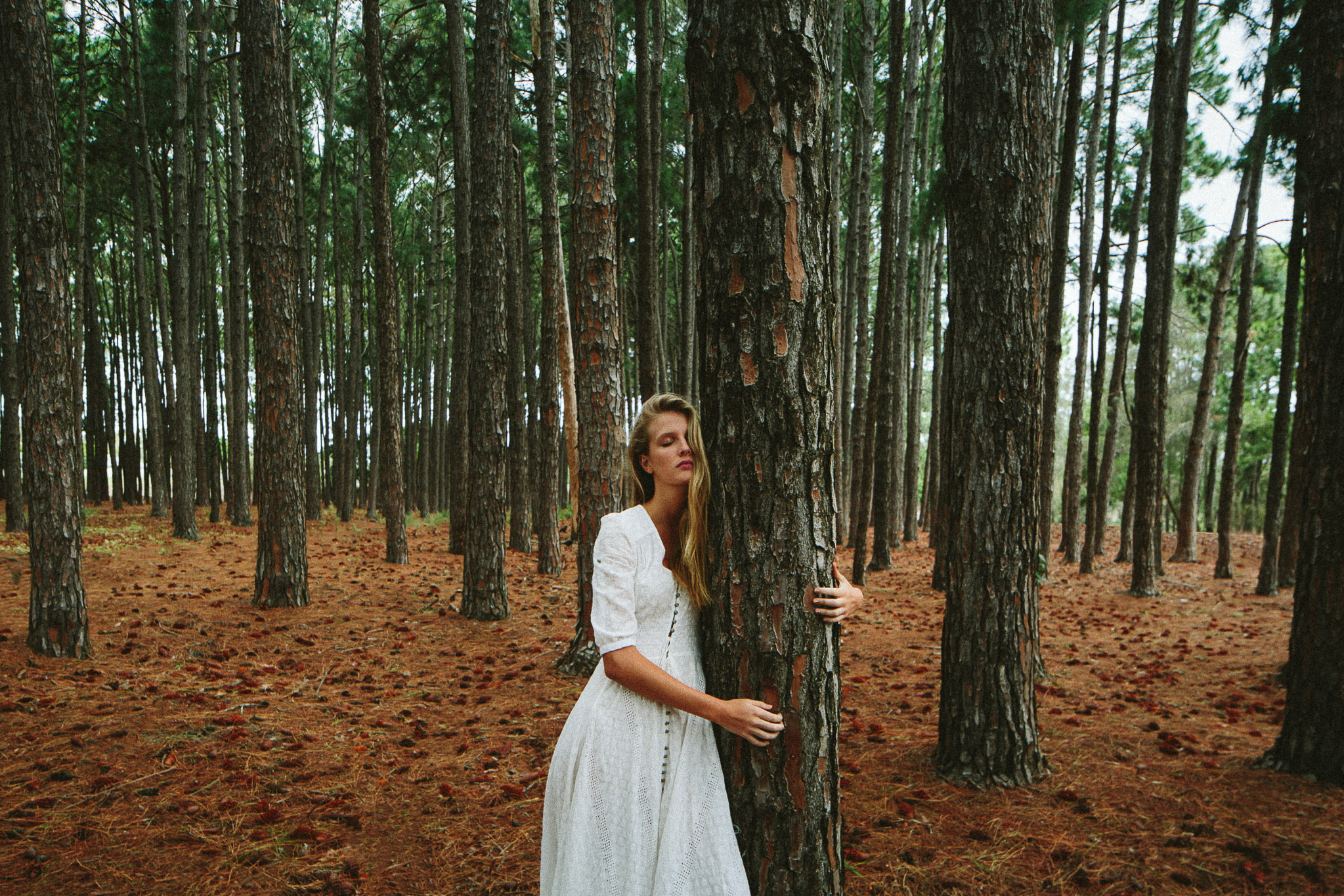 portraits in the woods