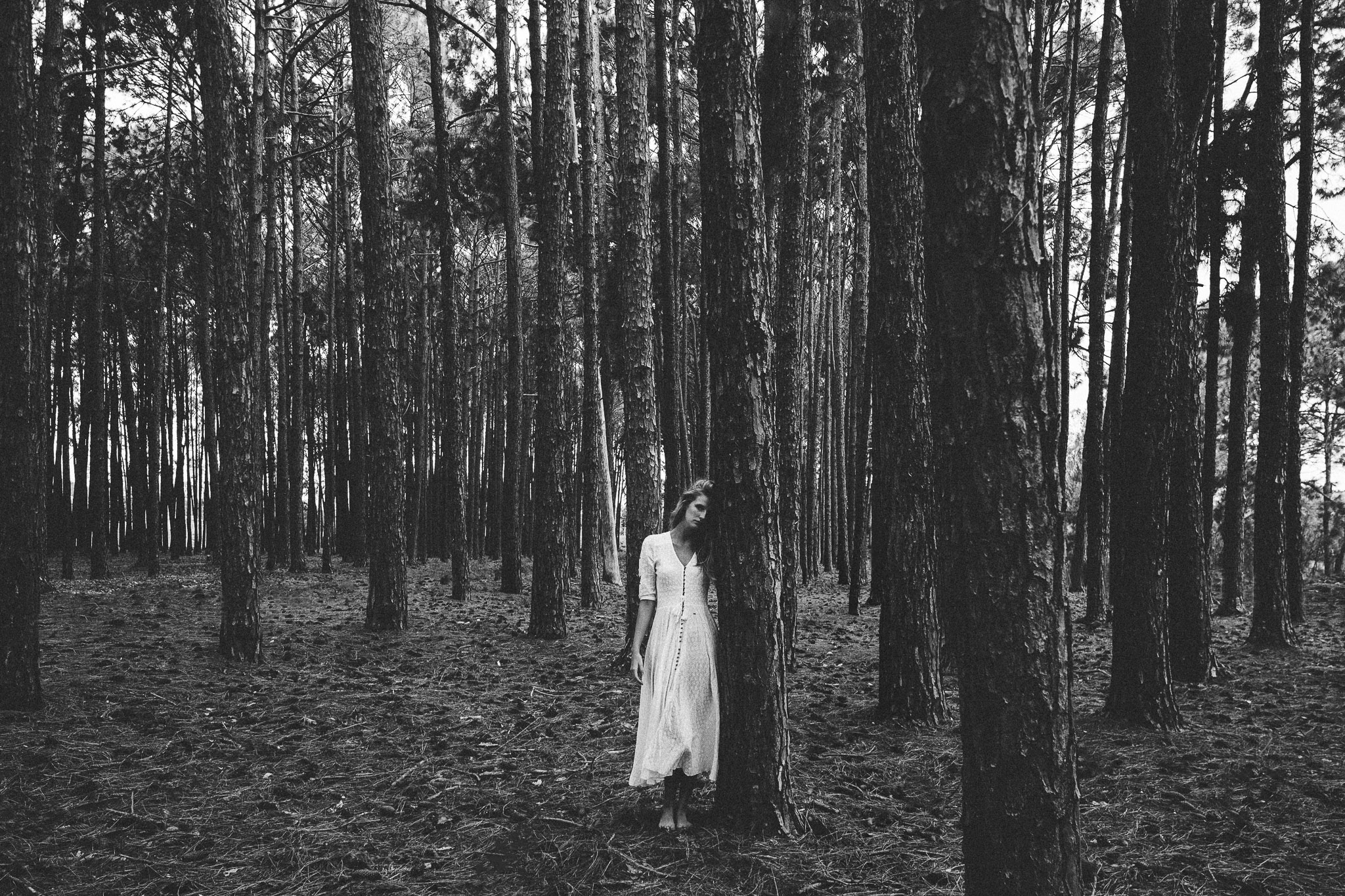 portraits in the woods