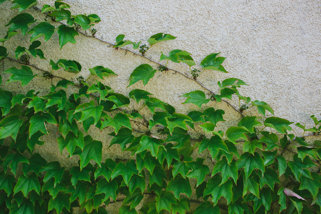 wedding venues france