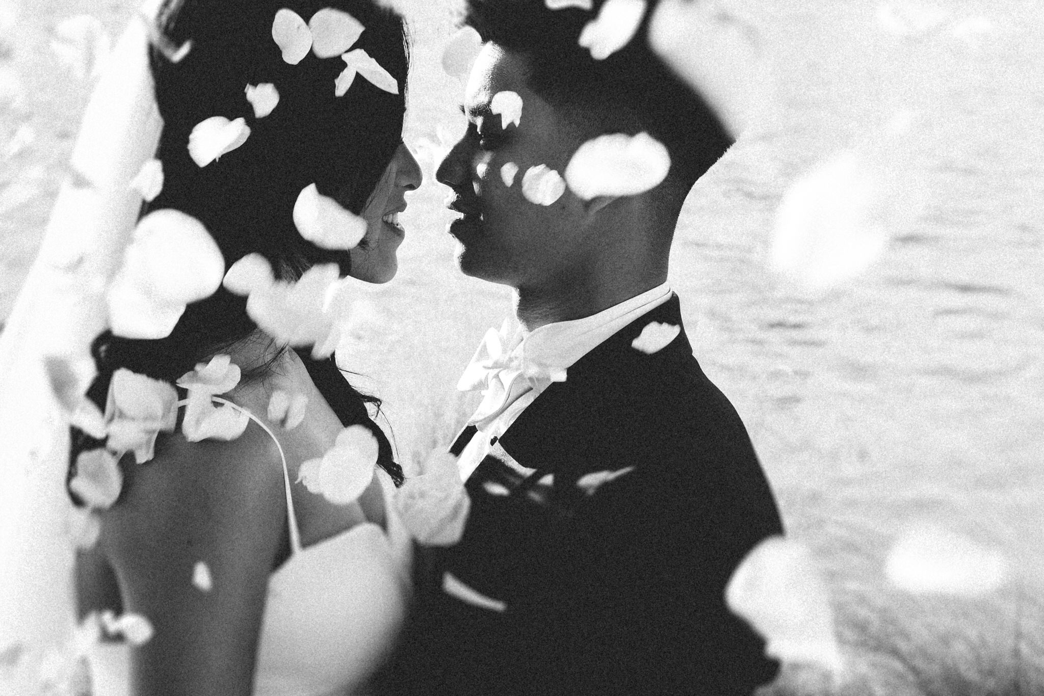 A Year's Journey Through Photography Roses and newly weds