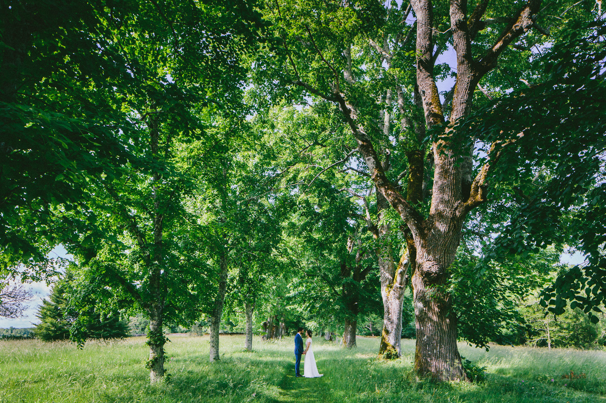 Incredible french wedding A Year's Journey Through Photography 