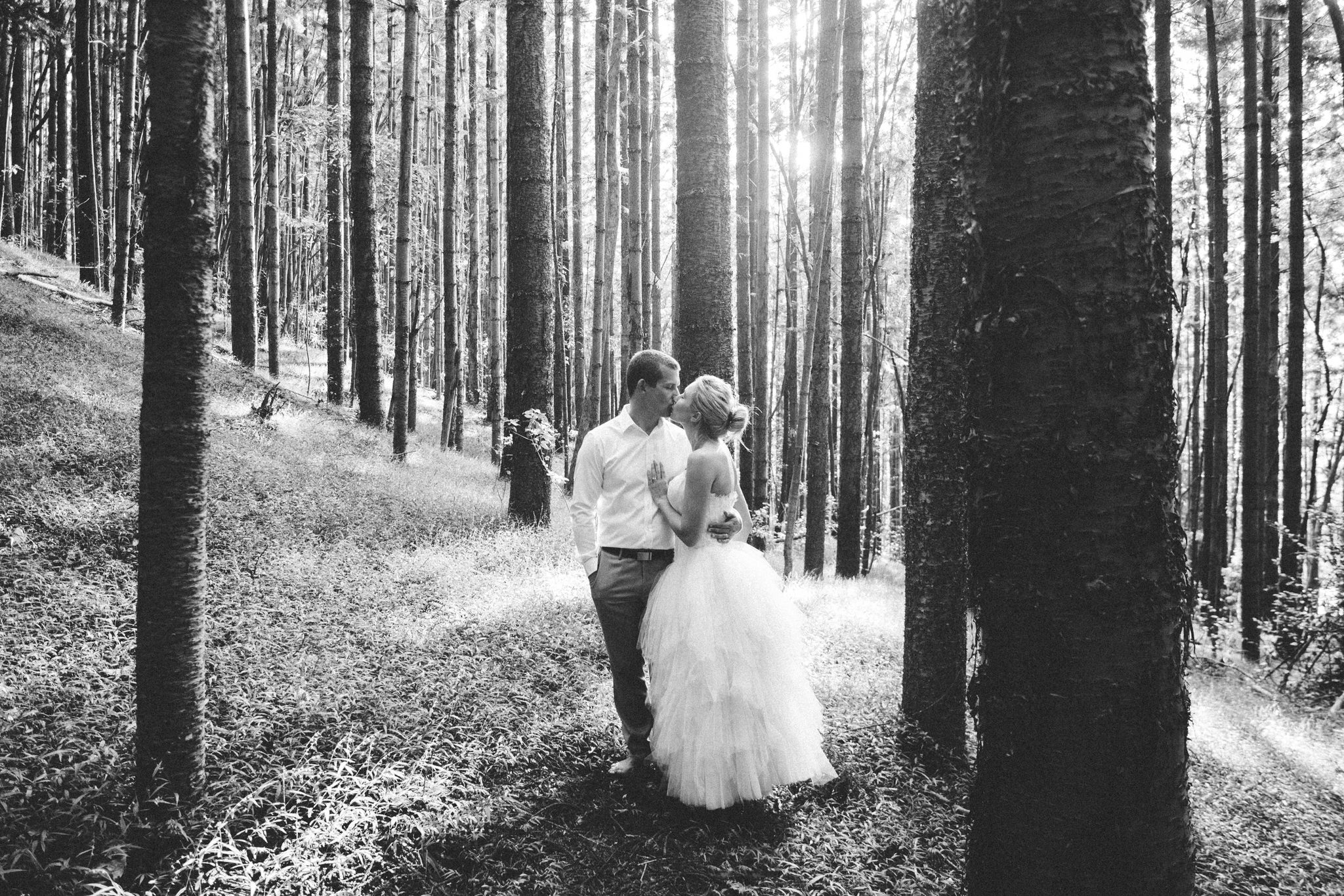 A Year's Journey Through Photography wedding in pine forest