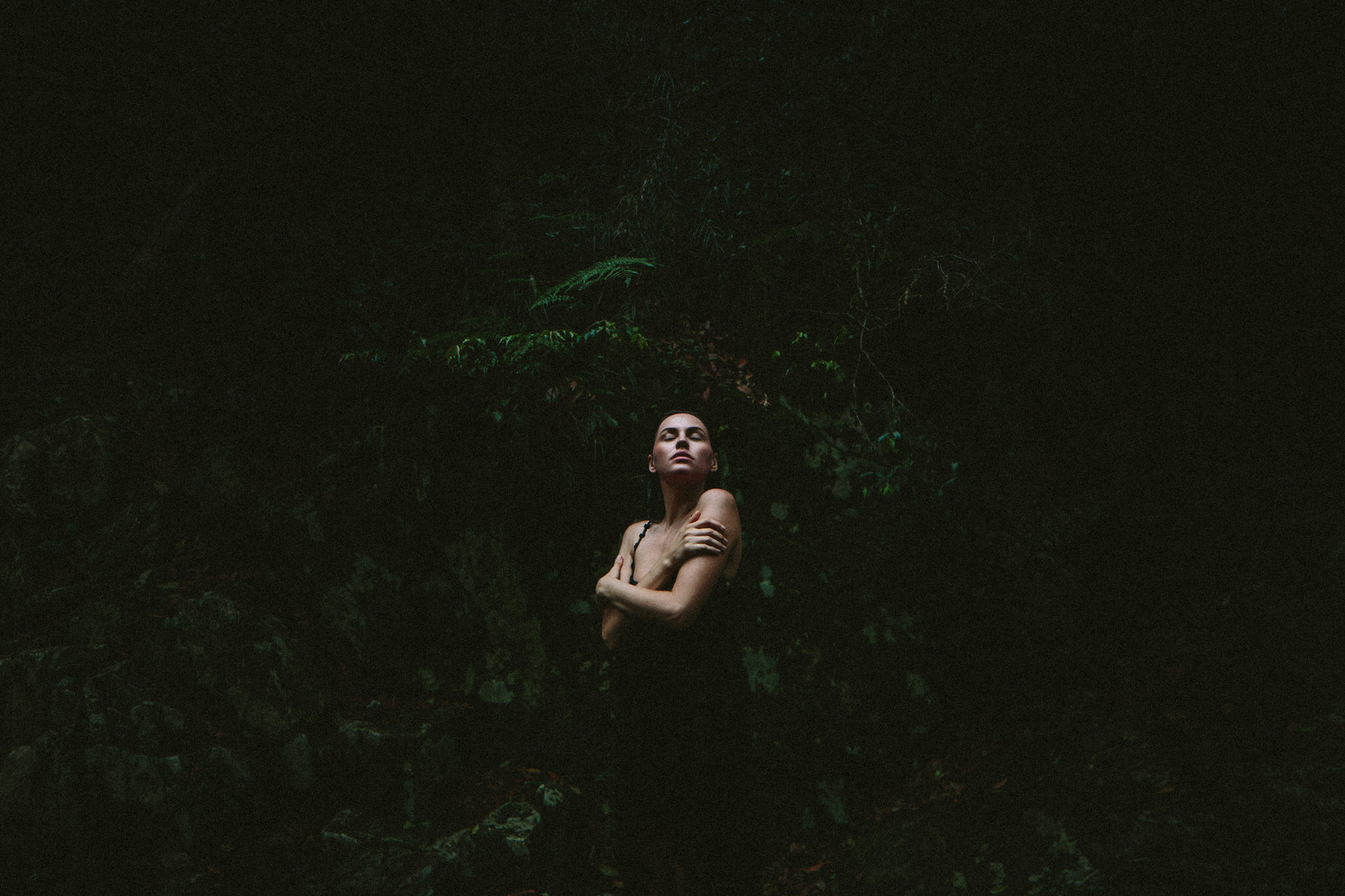 photo portrait session Rainforest