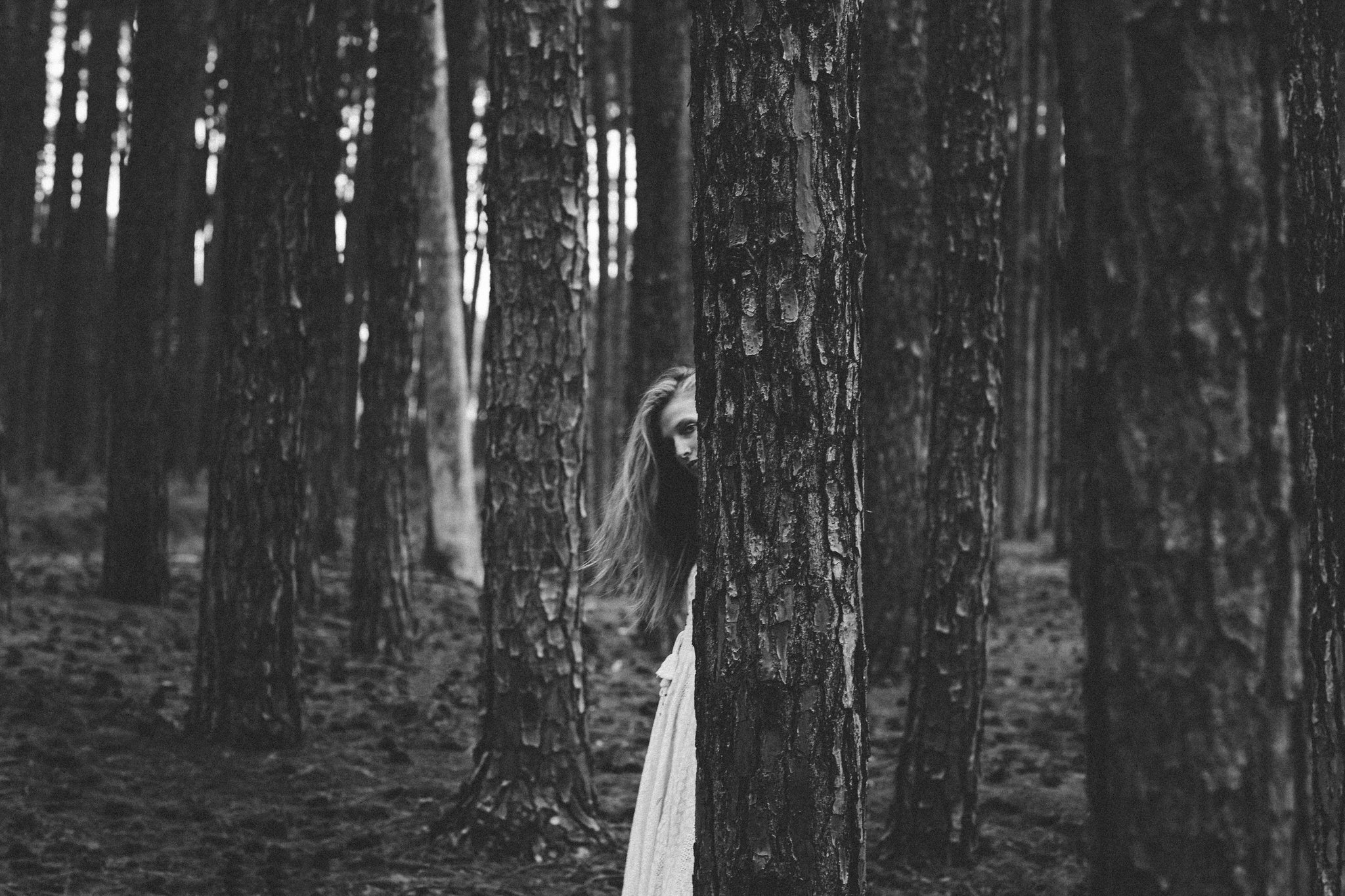 pine forest photo session