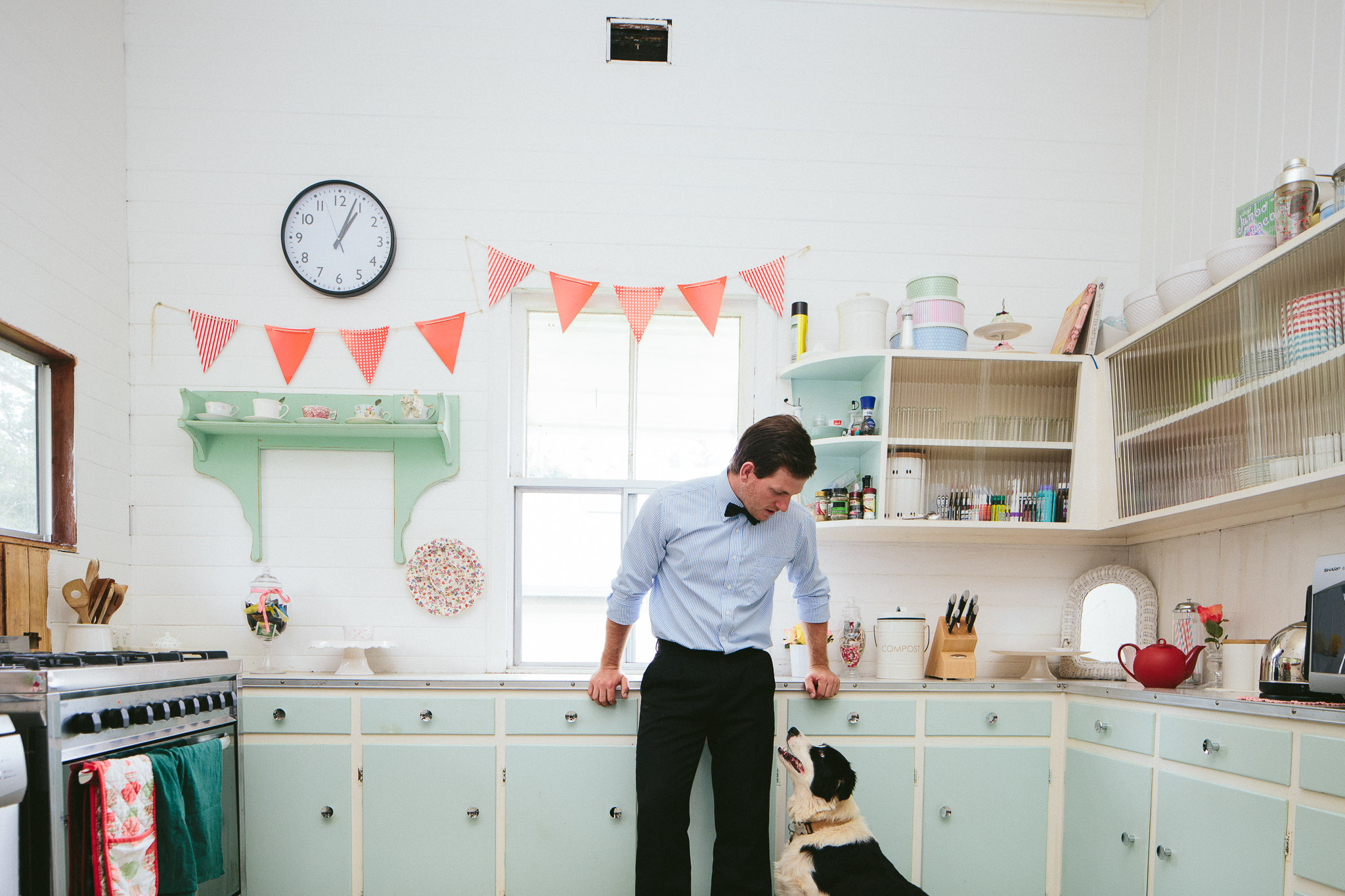 dog engagement photo