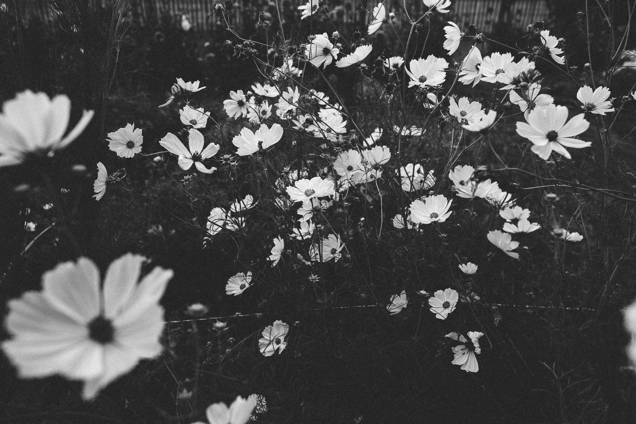 French British wedding flowers