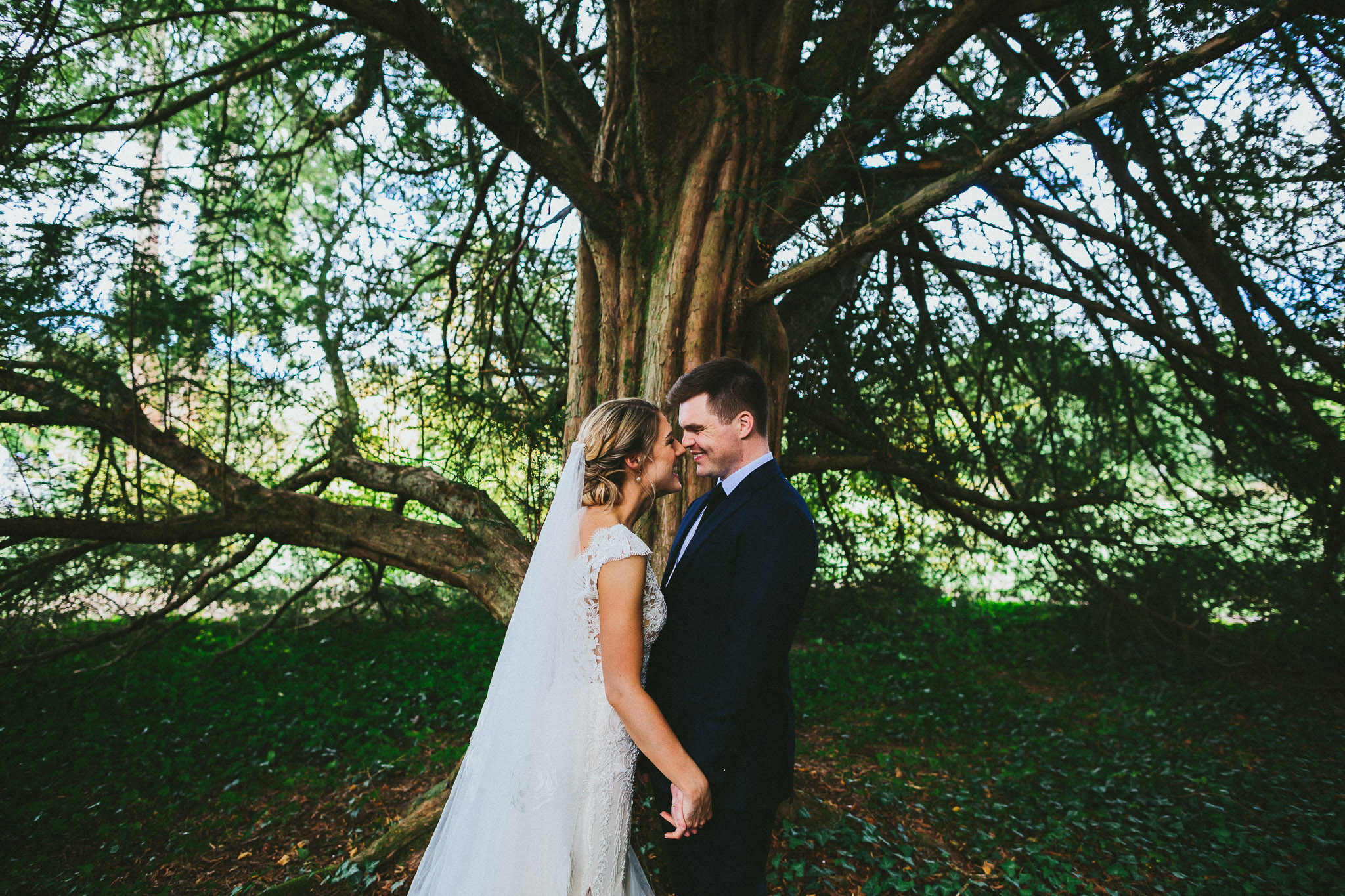 bride and groom magnificent tree