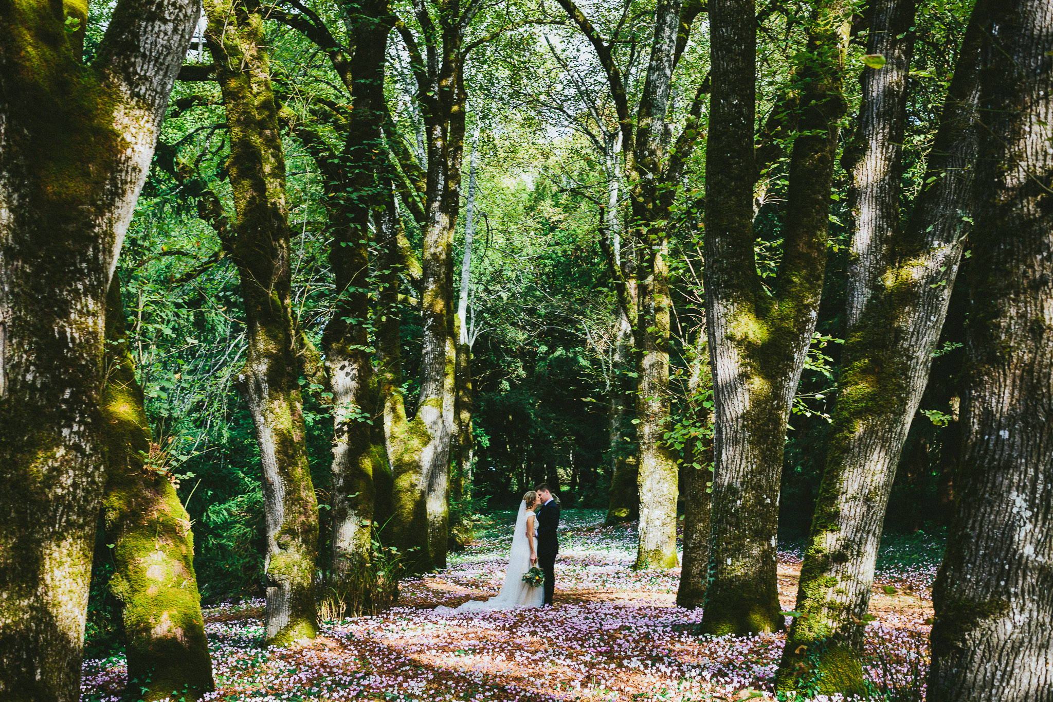 French destination wedding photo session bride and groom bed of pink flowers and trees