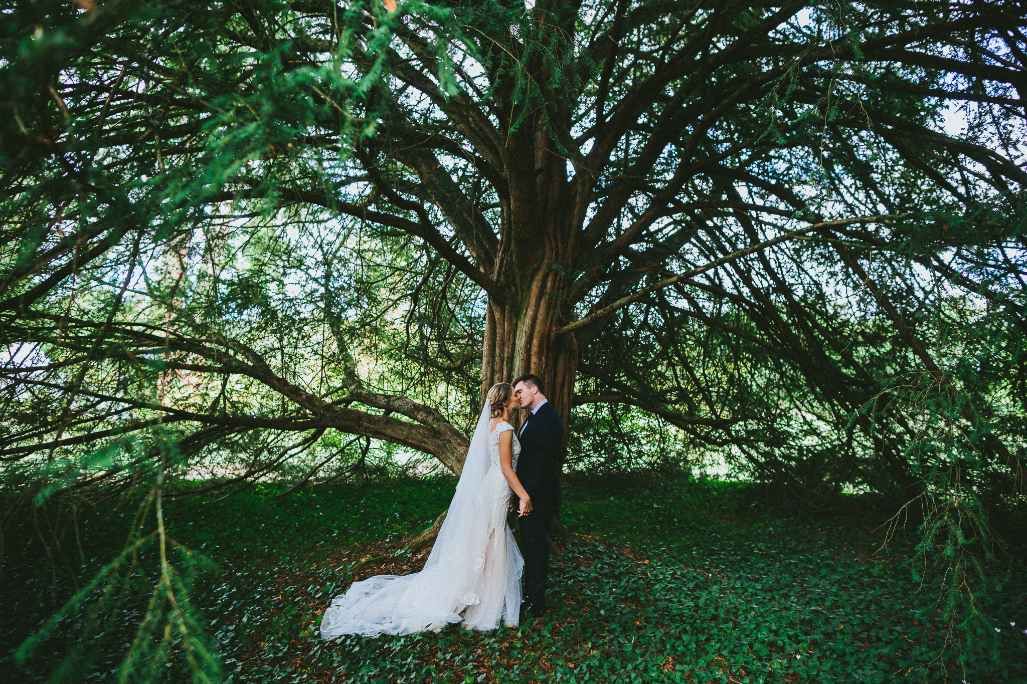 photo summary bride and groom kissing under a tree