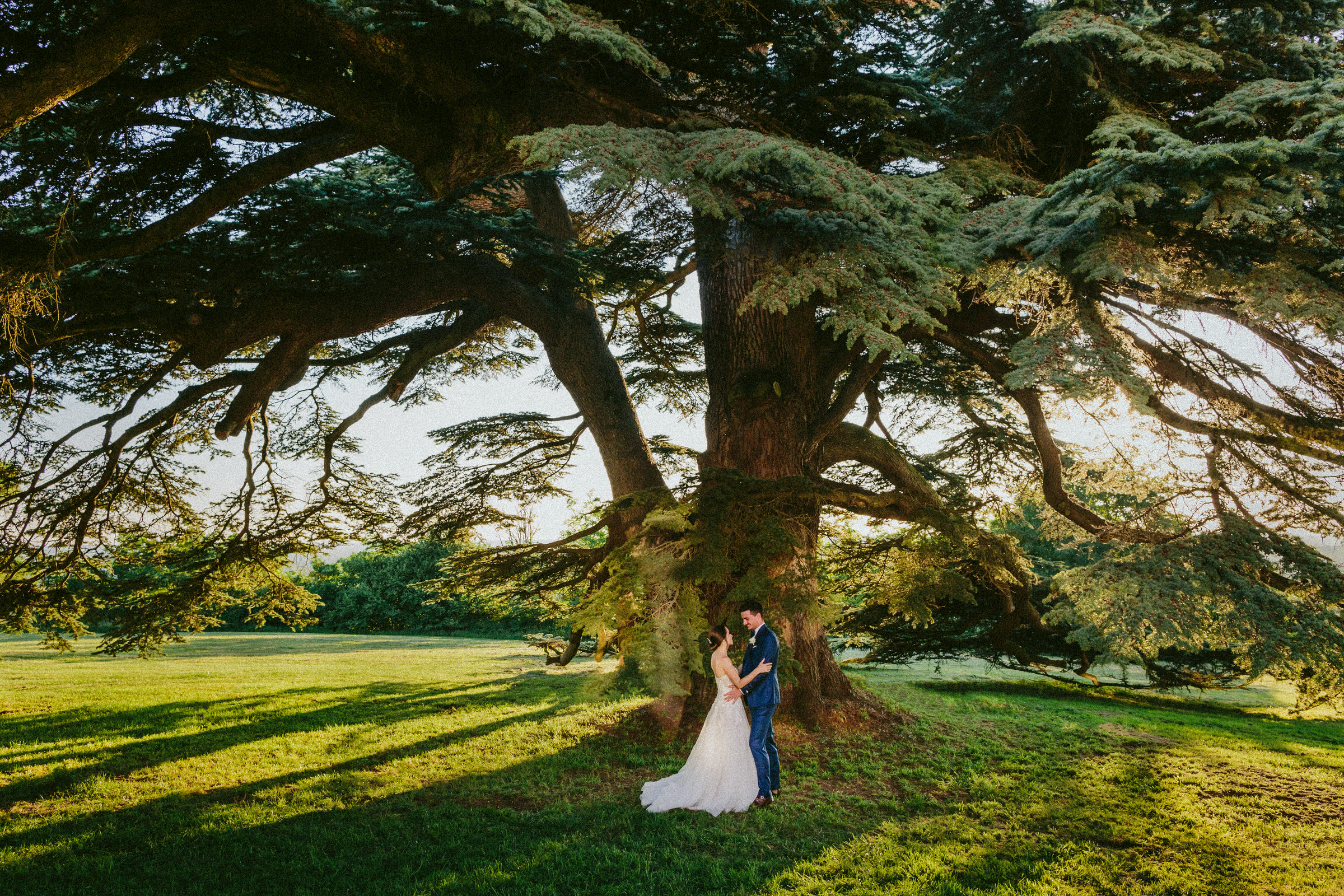 bride and groom standing under a beautiful tree Classy french wedding