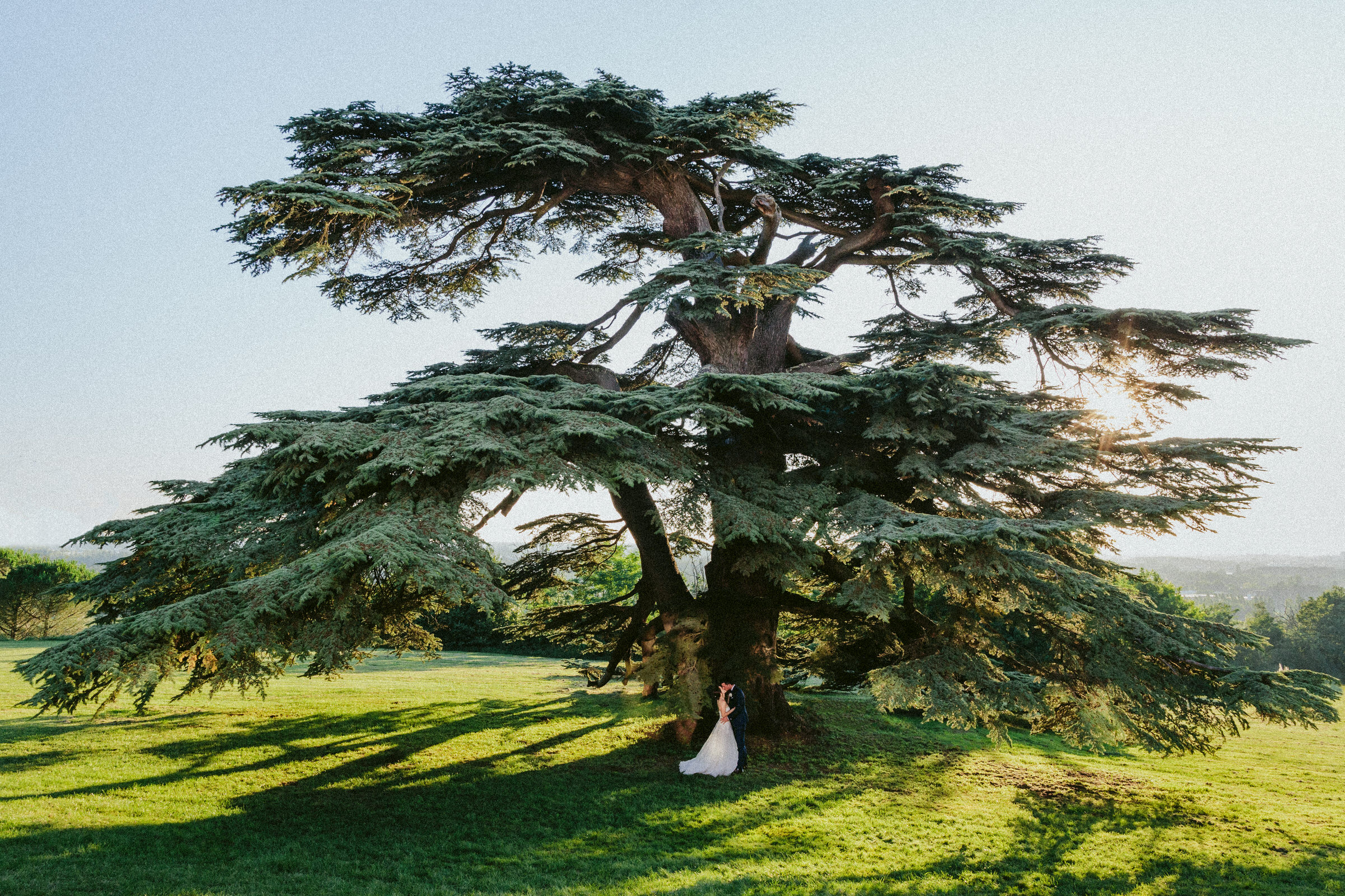 Bride and groom kissing under an amazing tree Classy french wedding