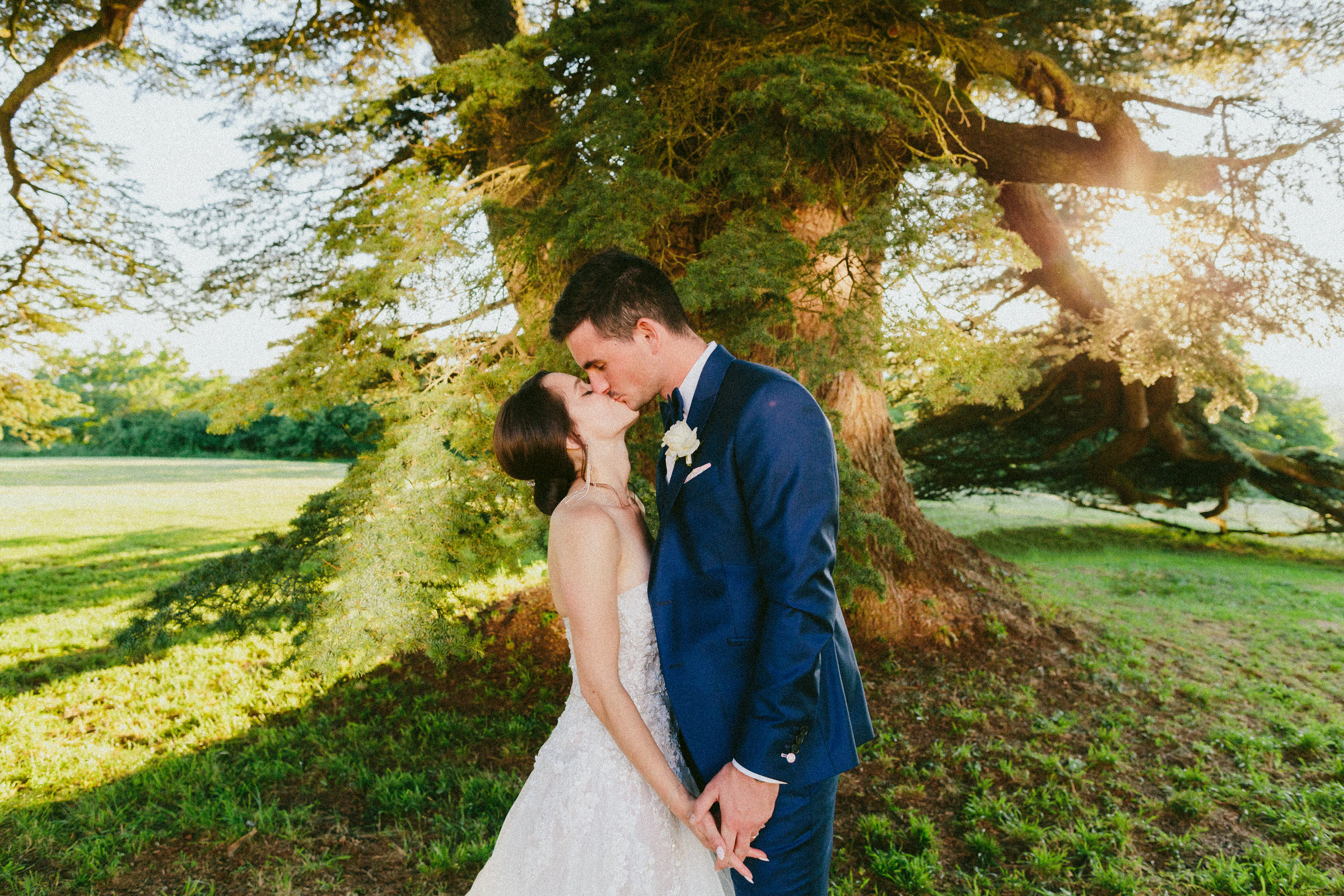 bride and groom sunset kiss under a tree Classy french wedding