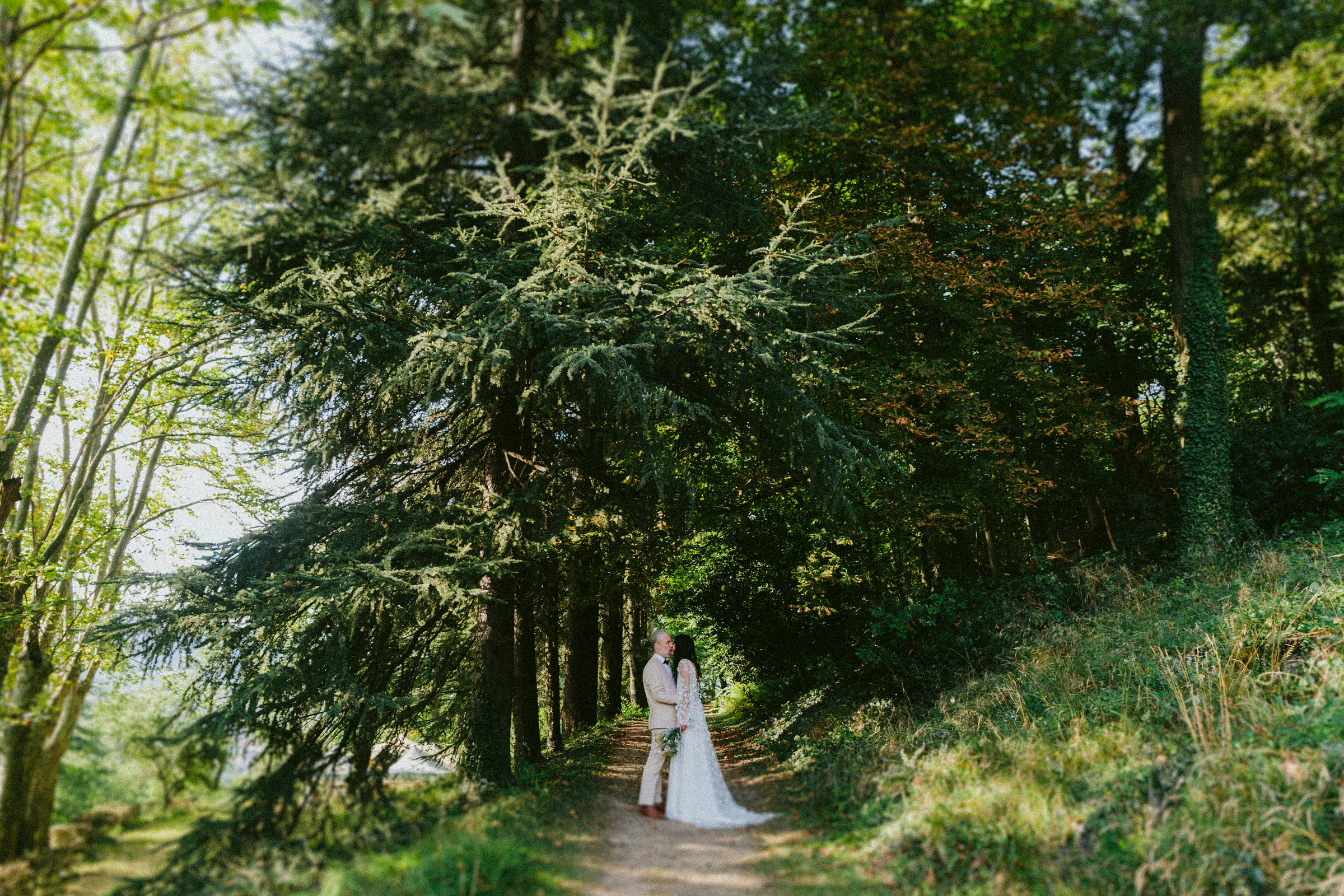 bride groom forest landscape photoshoot French Domain Wedding